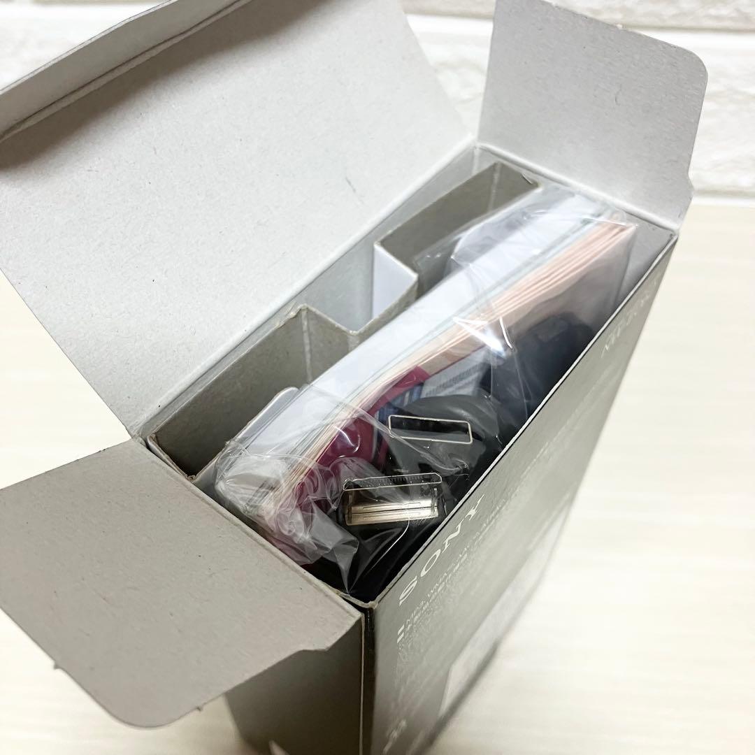 激レア　新品未使用　ソニー　ウォークマン　NW-E062 Eシリーズ SONY