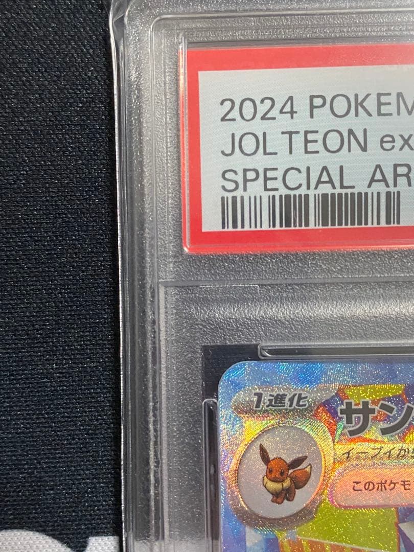 【PSA10】ポケモンカード サンダースex SAR テラスタルフェスex