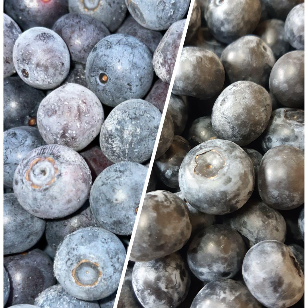 冷凍ブルーベリー　加工用　農薬不使用　10kg