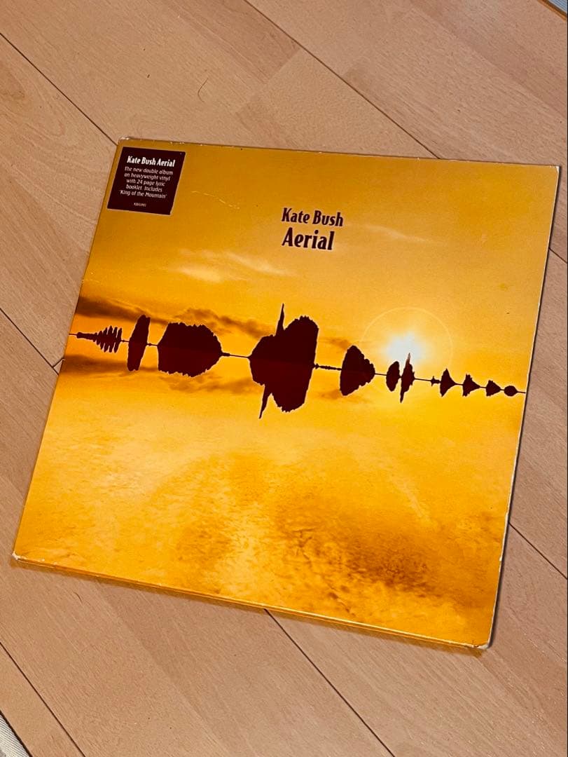 Kate Bush Aerial レコード　オリジナル盤