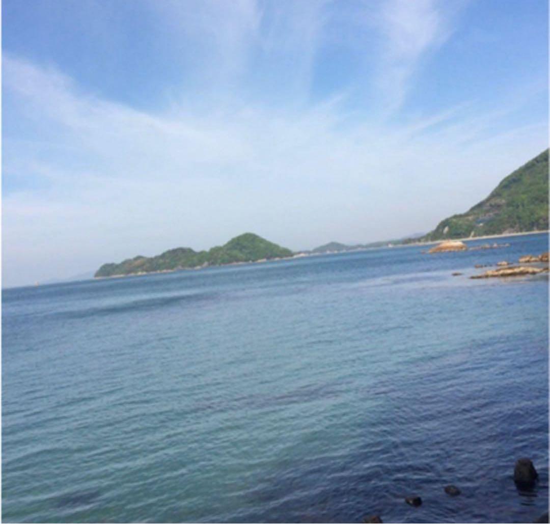 無農薬 ジューシーなレモン10キロ箱込