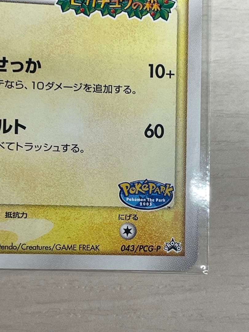 ポケパークのピカチュウ　ポケパークのアチャモ