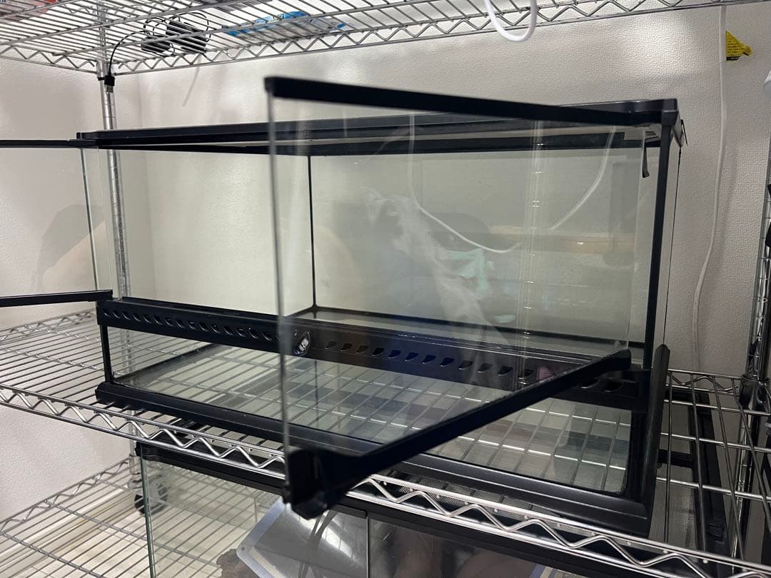 引き取り限定　グラステラリウム6030