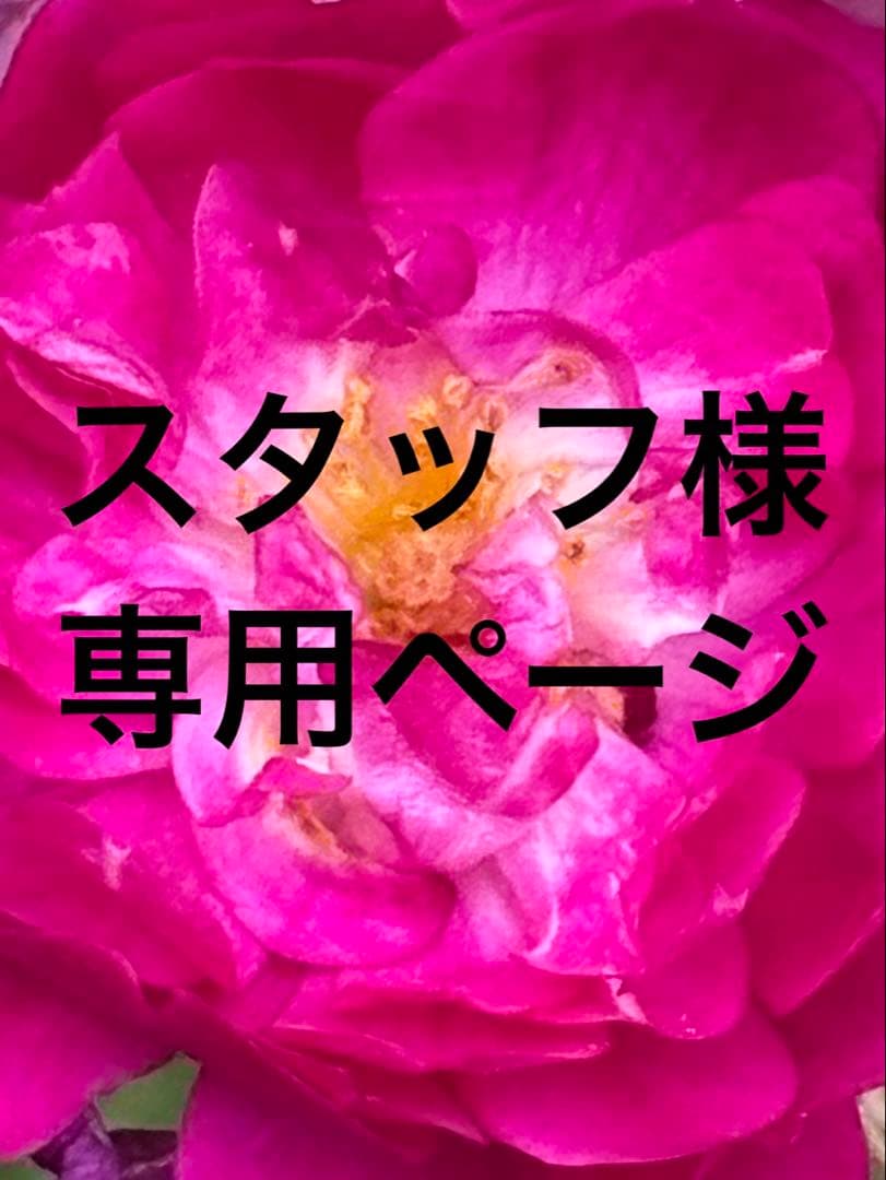 スタッフページ‼️SONY α6400 シルバーモデルEマウント純正