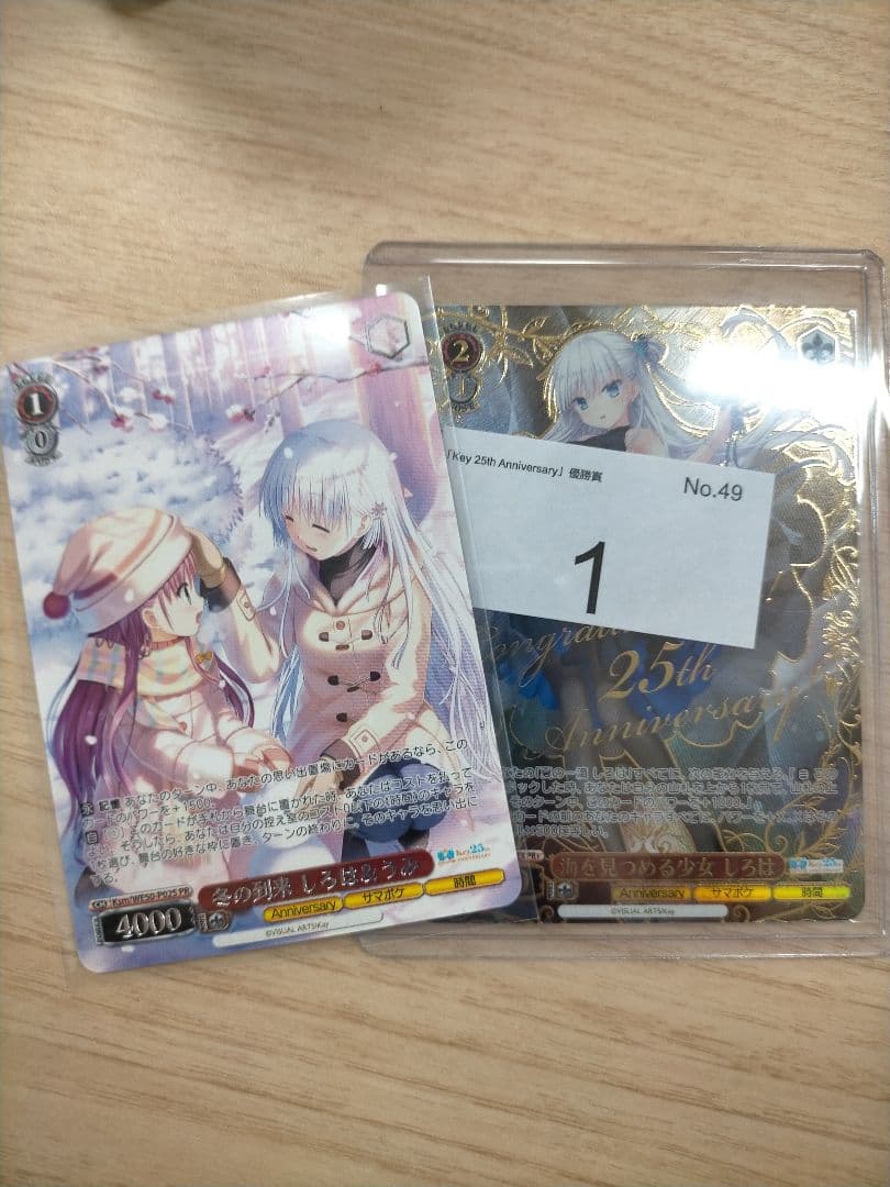 海を見つめる少女 しろは PR+&冬の到来 しろは&うみ PR key