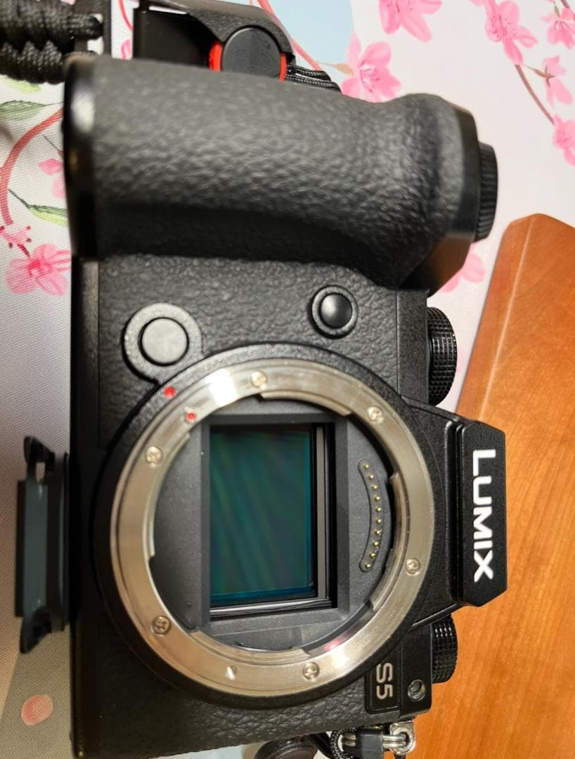 デジタルカメラ Panasonic DC-S5 24-105mm