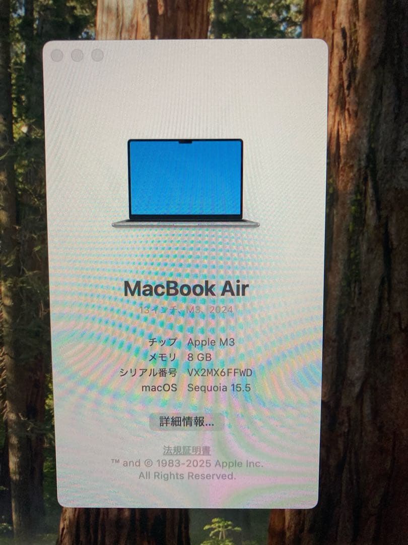 MacBook Air M3 メモリ8GB/SSD256GB 13インチ