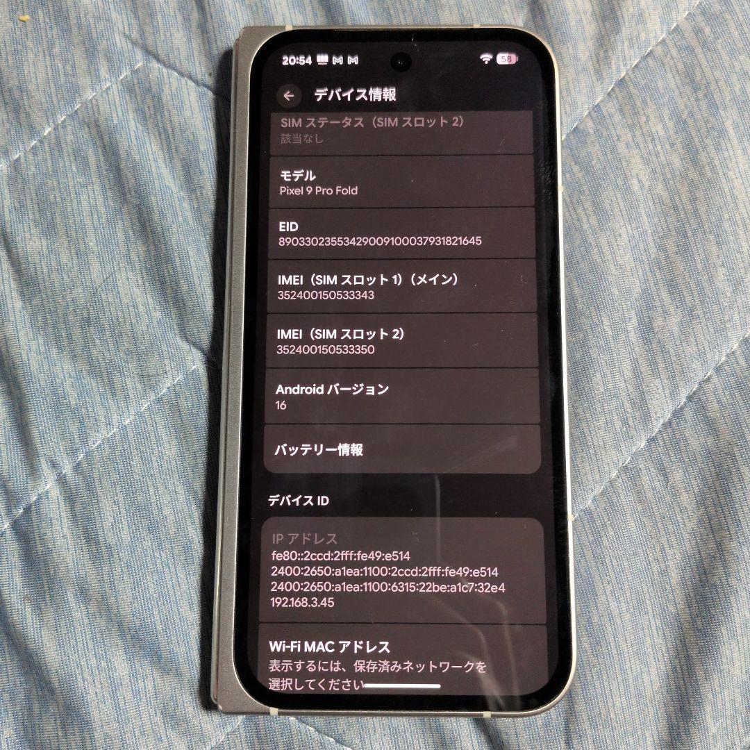 ジャンクGoogle Pixel 9 Pro Fold 本体