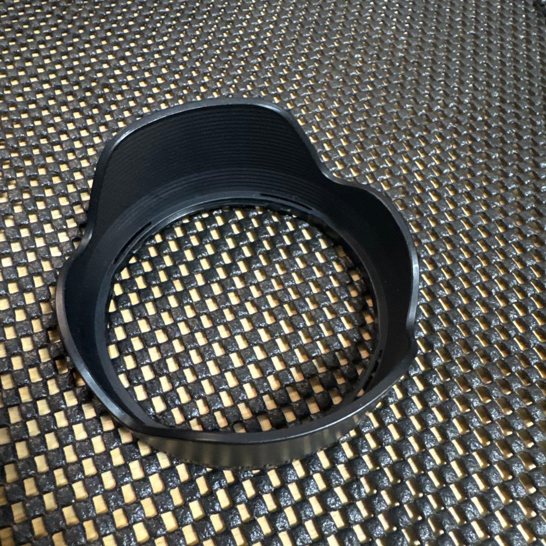 【たつ】SIGMA 28-70mm F2.8 DG DN