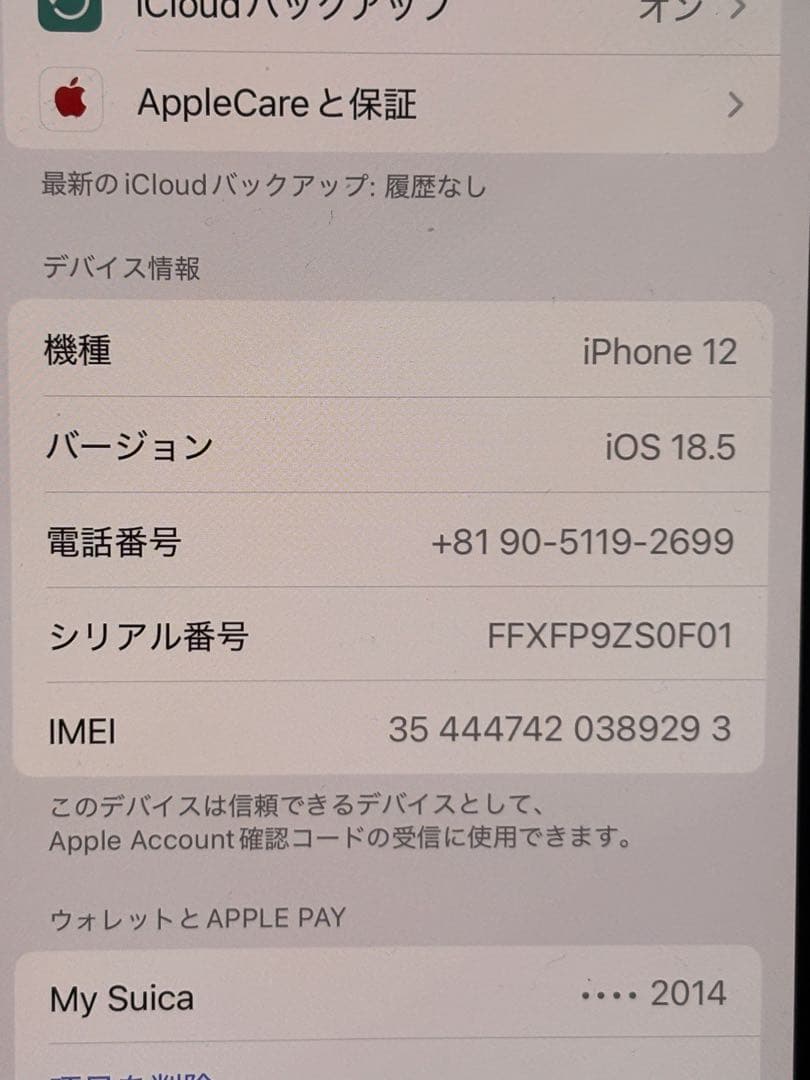 Apple iPhone 12 薄ピンク本体