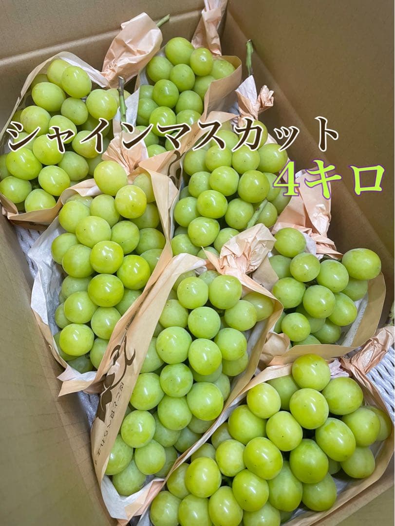 羽雲様⭐︎シャインマスカット　4キロ　4kg