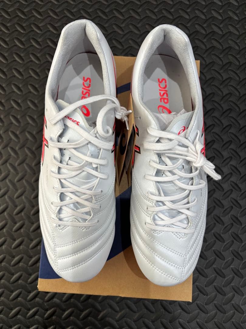 シューズ DS LIGHT X-FLY PRO 3 1101A072-103 27cm