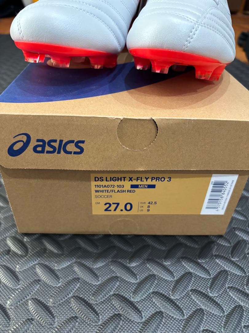 シューズ DS LIGHT X-FLY PRO 3 1101A072-103 27cm