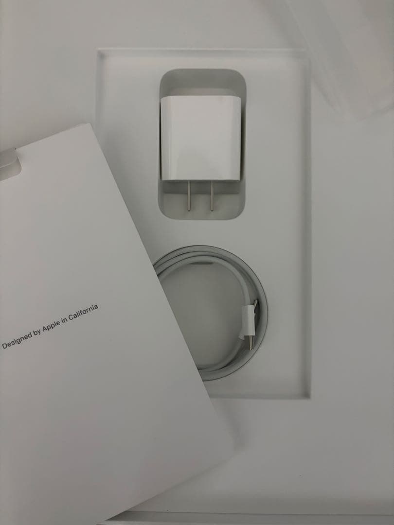 iPad Pro 12.9インチ　第４世代　128gb スペースグレー 本体