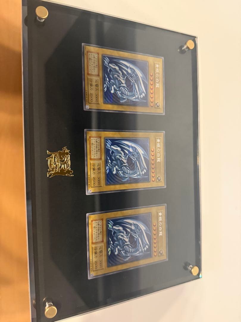 25th 青眼の白龍　シクブル　海馬セット