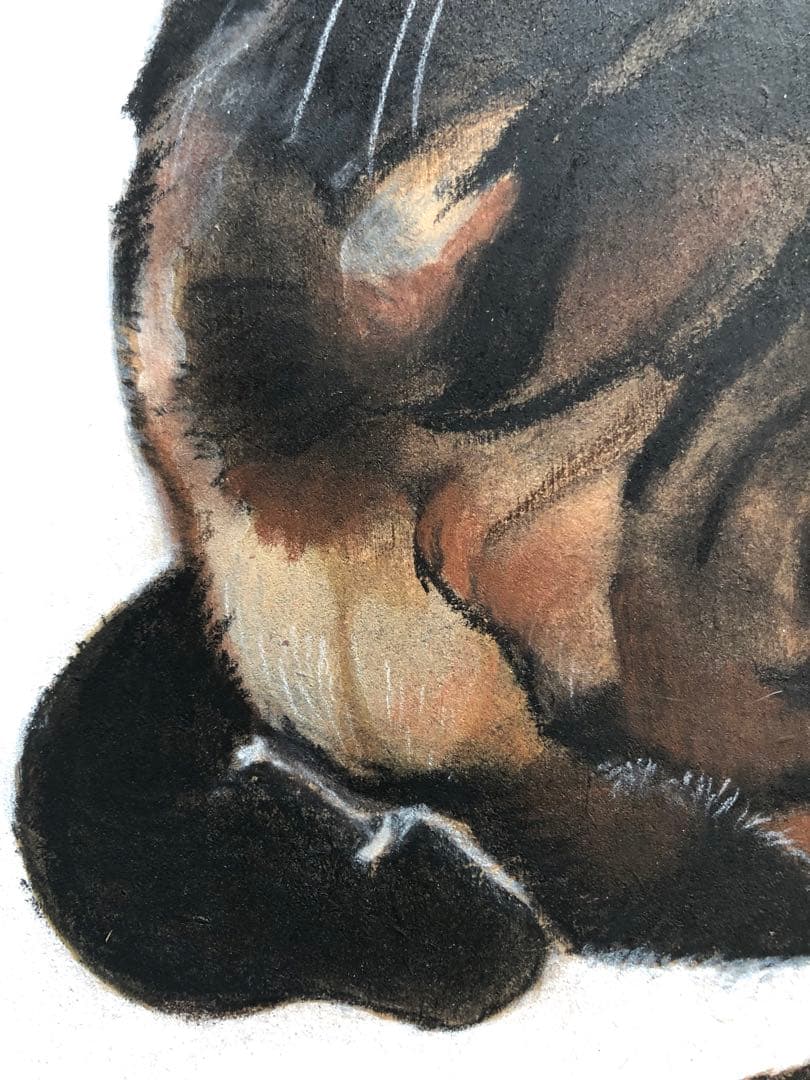 「ムサシ」猫イラスト（原画）