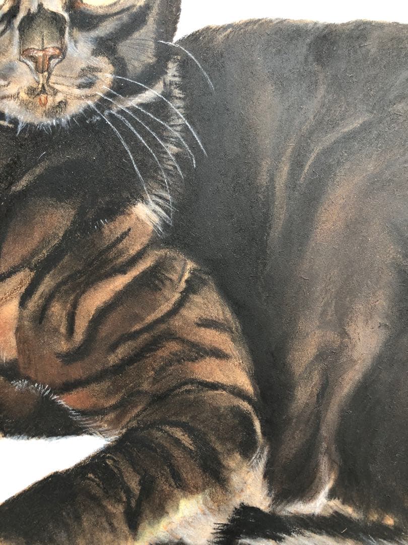 「ムサシ」猫イラスト（原画）