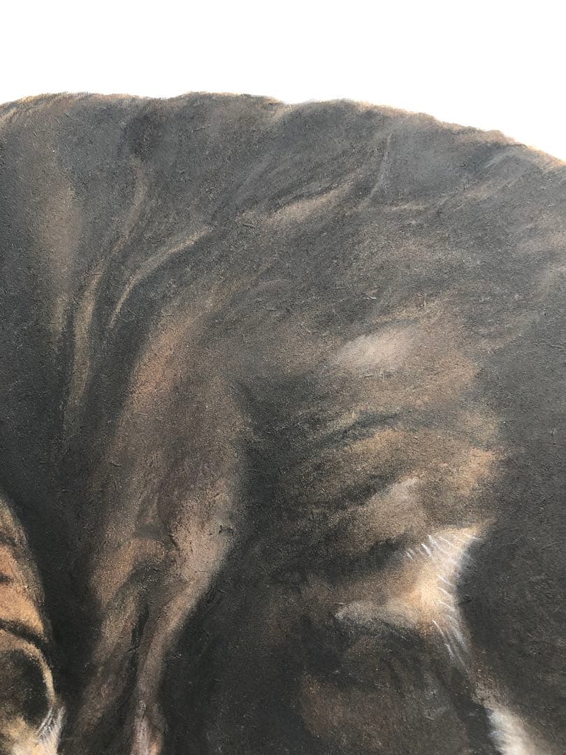 「ムサシ」猫イラスト（原画）