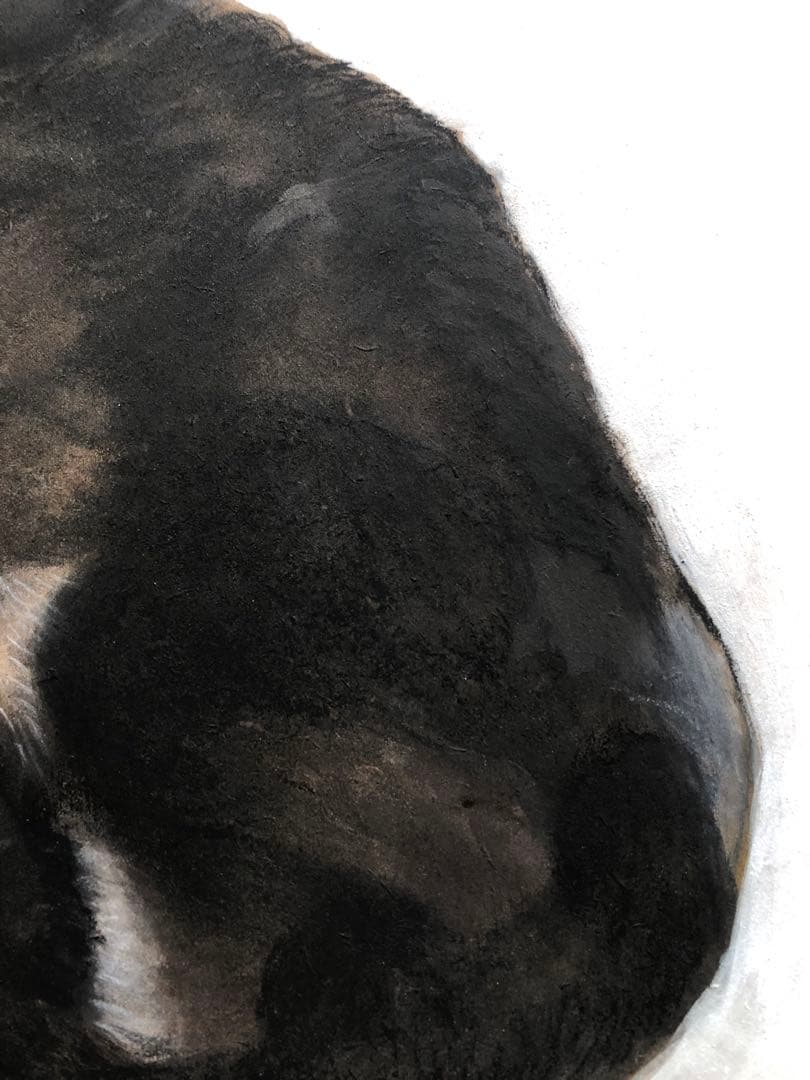 「ムサシ」猫イラスト（原画）