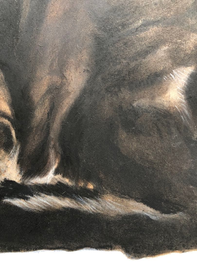 「ムサシ」猫イラスト（原画）