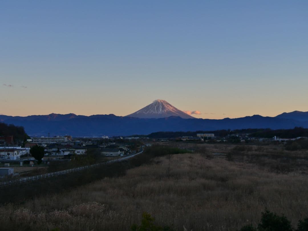 Olympus 40-150mm f/2.8 ズームレンズ