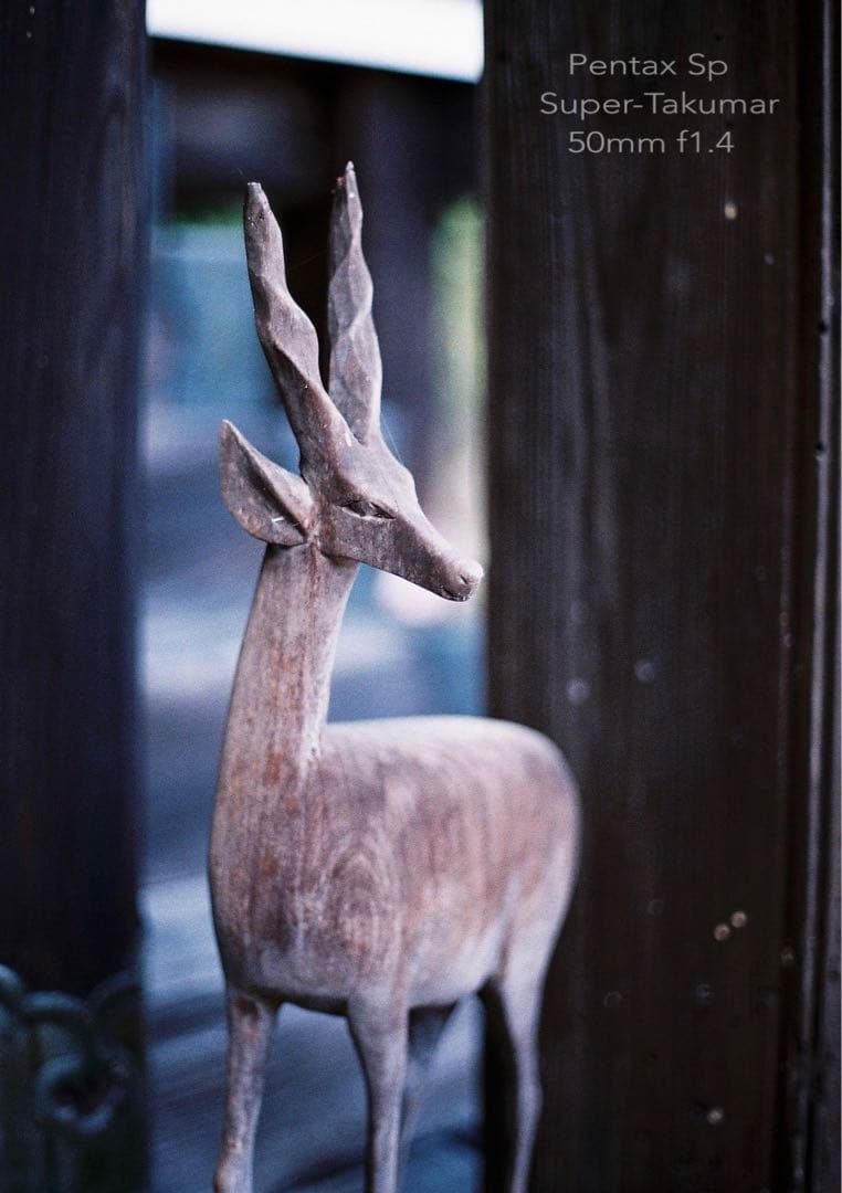 ★超美品！pentax sp ブラック/50mm f1.4 作例多数＊初期保証