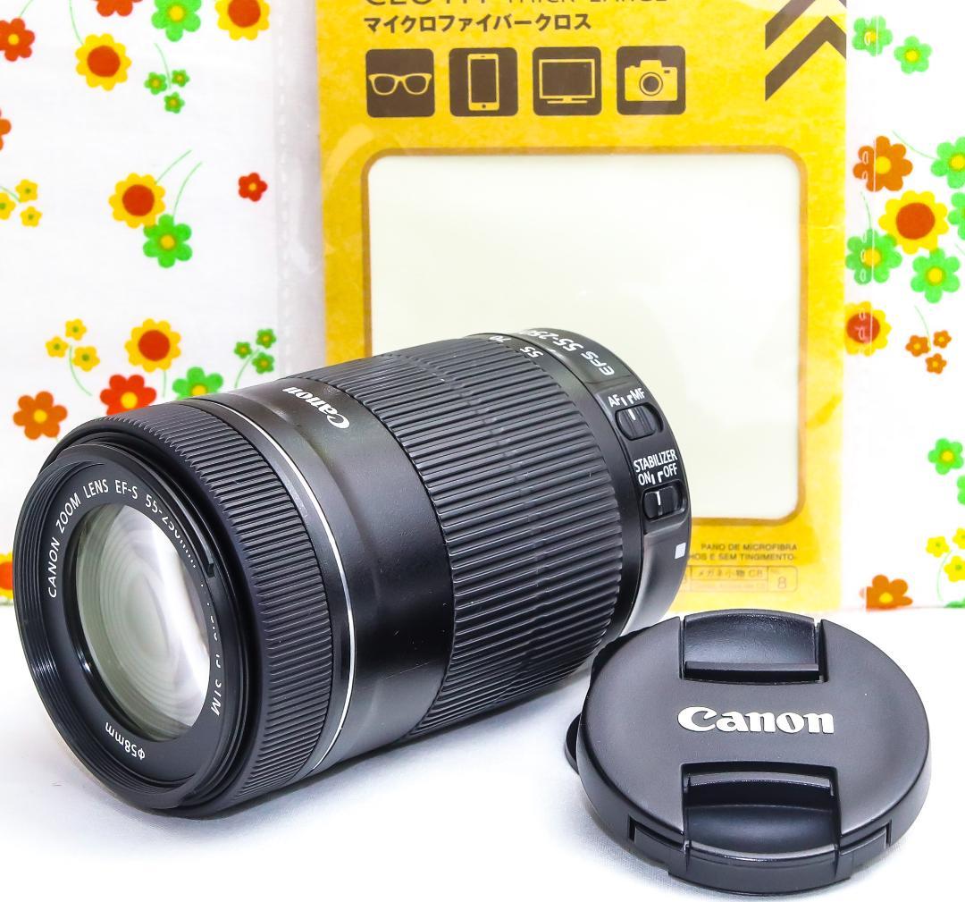 美品☆Canon EF-S 55-250mm IS STM☆超静音望遠レンズ