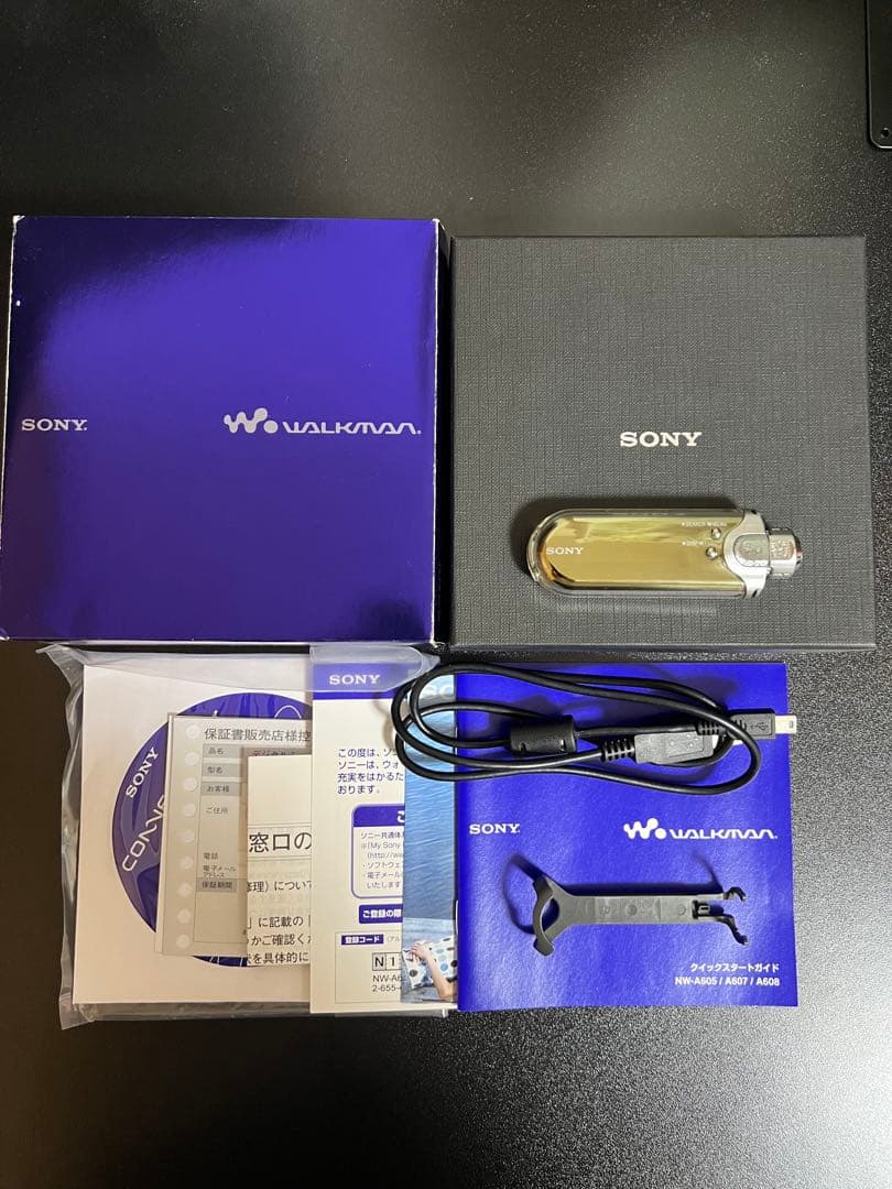 ジャンク　SONY NW-A607 デジタルオーディオプレーヤー 1GB