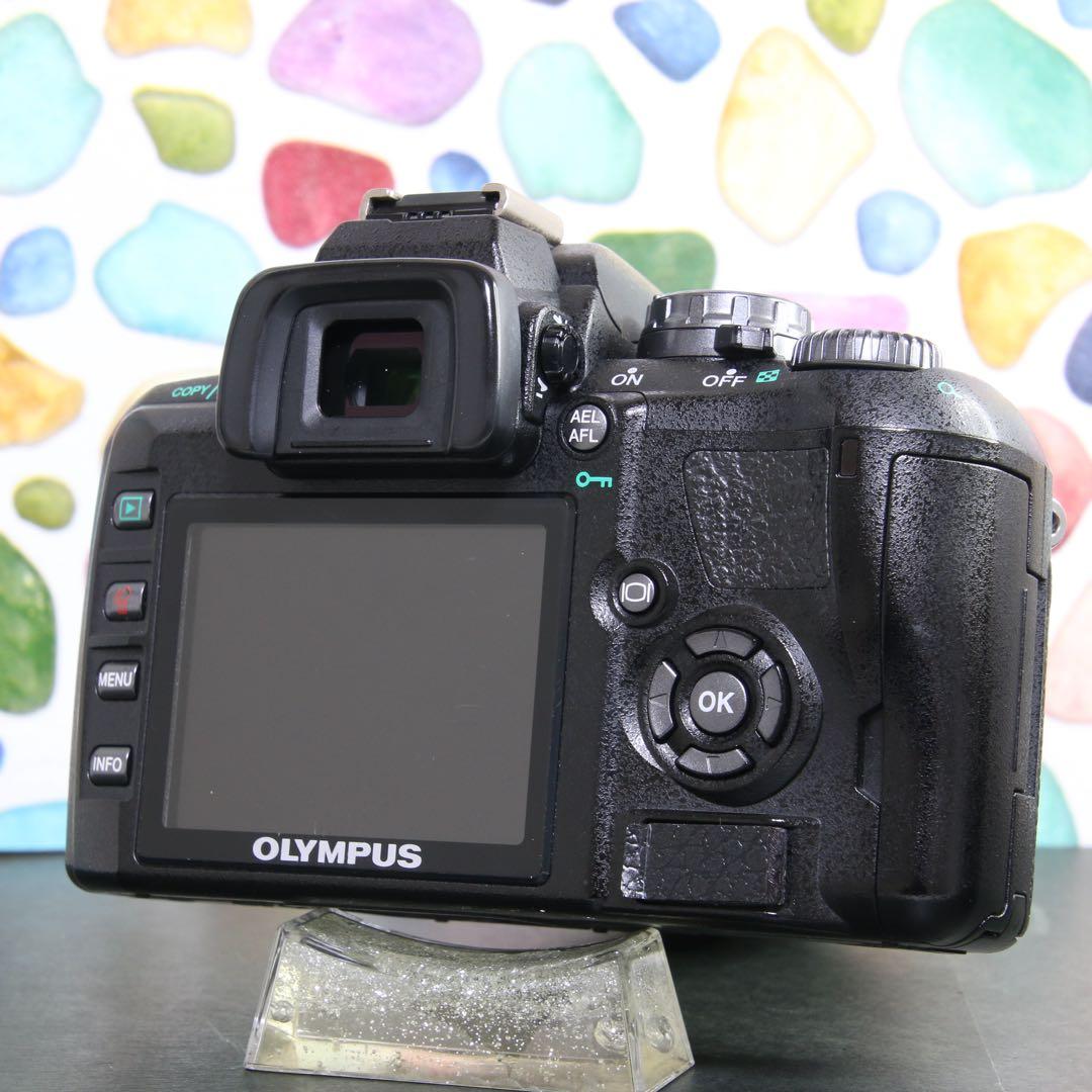 ♥◇やっぱりオリンパス♪ ◇OLYMPUS E-410 ◇高性能一眼レフ