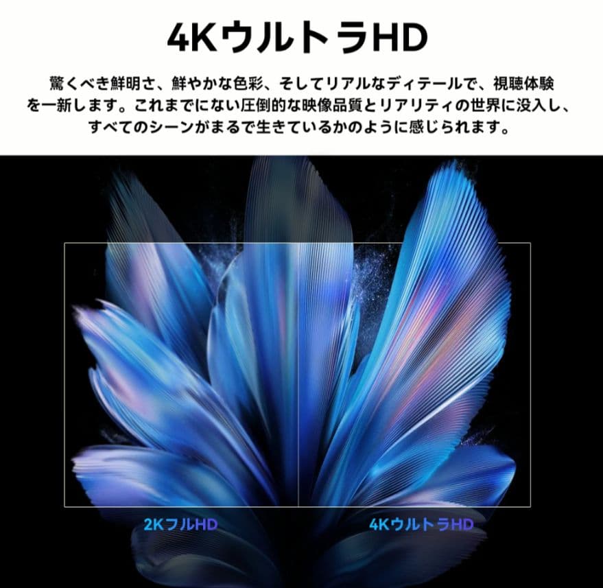 キ*カ様 【新品】最新FPDチューナレス50V型4KGoogleTV（CG50-