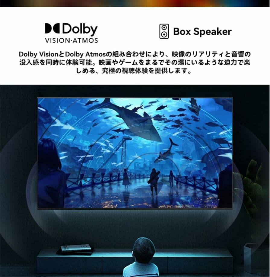 キ*カ様 【新品】最新FPDチューナレス50V型4KGoogleTV（CG50-