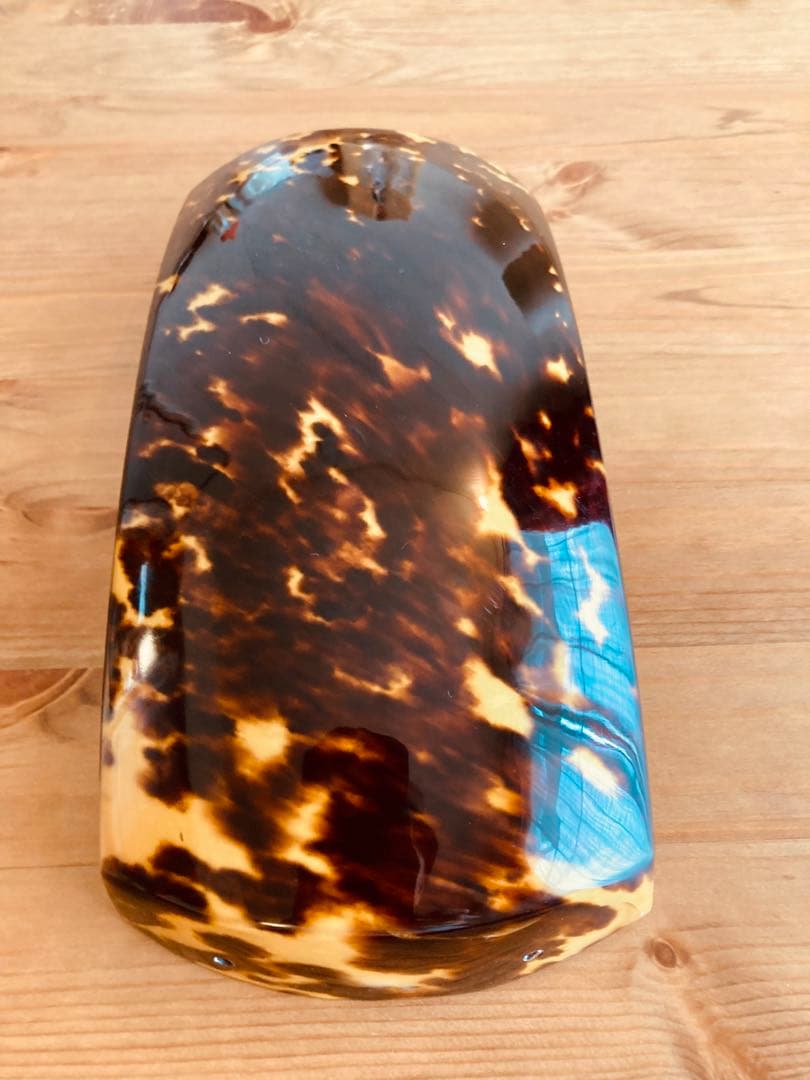 鼈甲 胴掛け 津軽三味線 5分大 美品 べっ甲