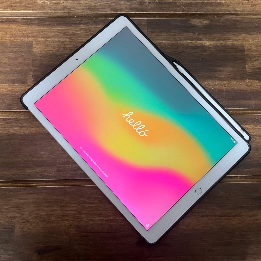 iPad pro 12.9㌅ 第二世代 Apple Pencil付