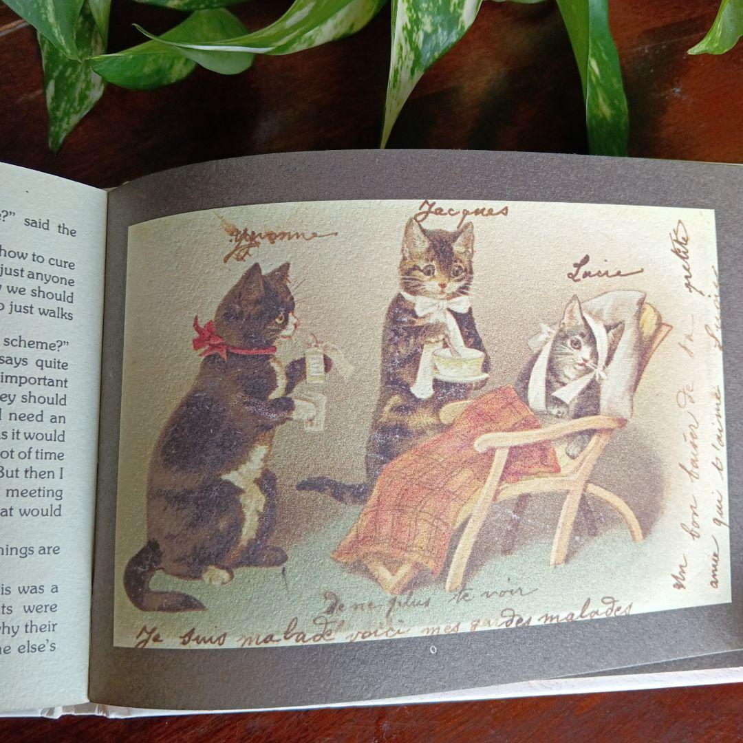 洋書古書　希少　猫の国　アート　画集　ポストカード　イラスト　ヴィンテージ