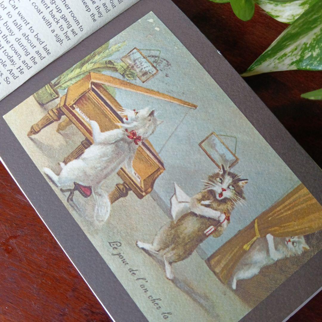 洋書古書　希少　猫の国　アート　画集　ポストカード　イラスト　ヴィンテージ