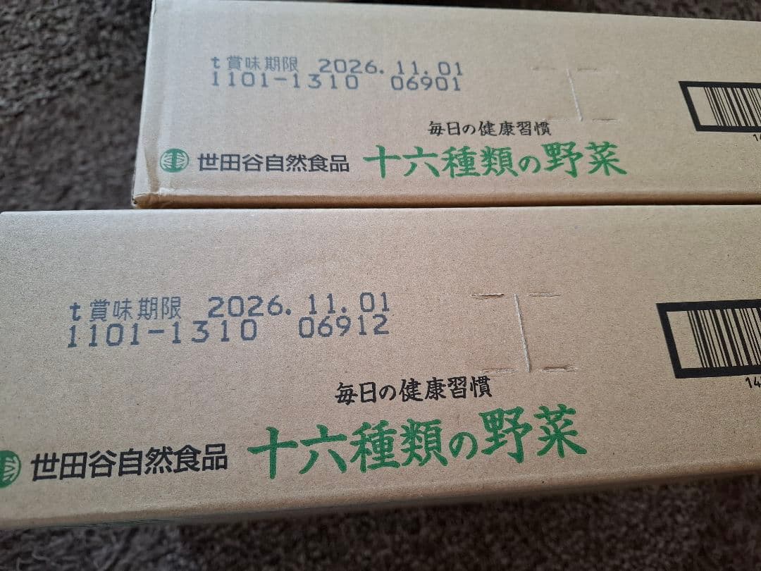 十六種類の野菜30本×2箱(世田谷自然食品)