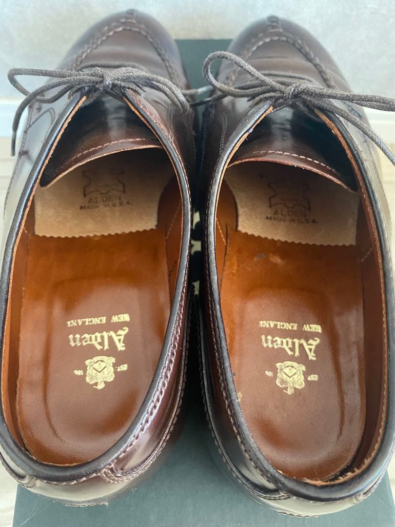 ALDEN #22220 NSTシガーコードバン　8E