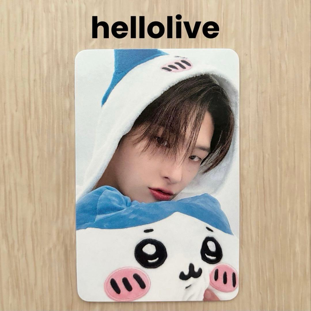 さわきた様 リクエスト 2点 まとめ商品