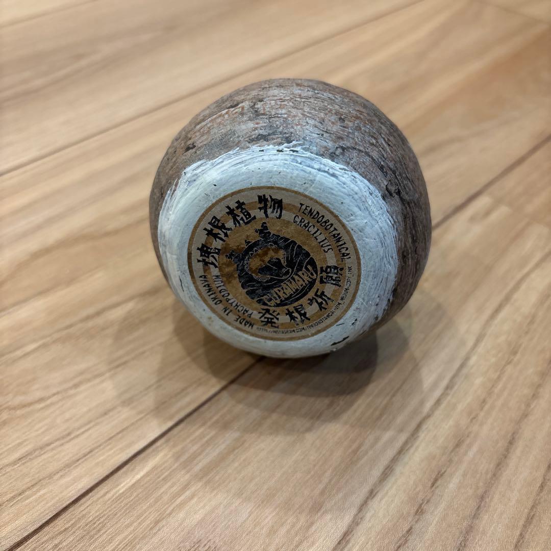 天道物産 陶器製球体オブジェ　tendobotanical