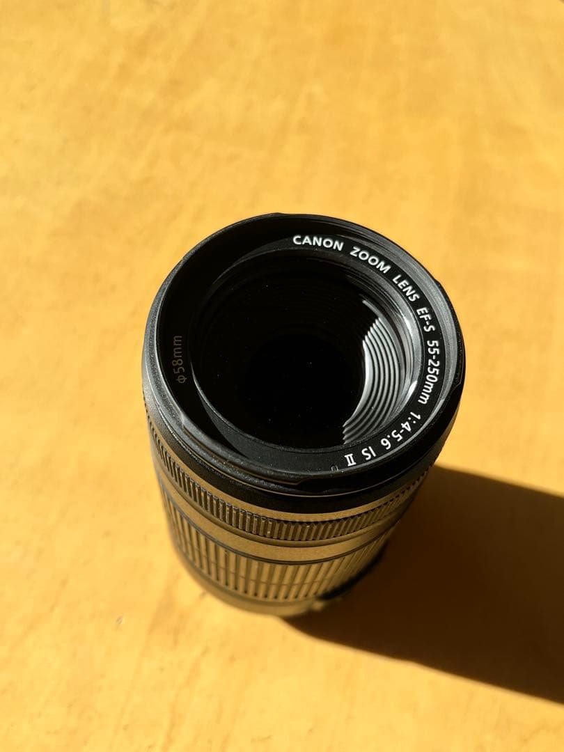 Canon EFS 55-250mm ズームレンズ
