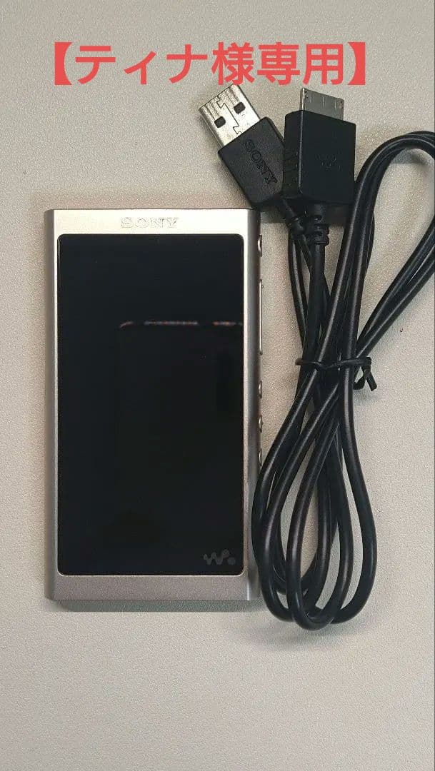 SONY ウォークマン NW-A55 (16GB)