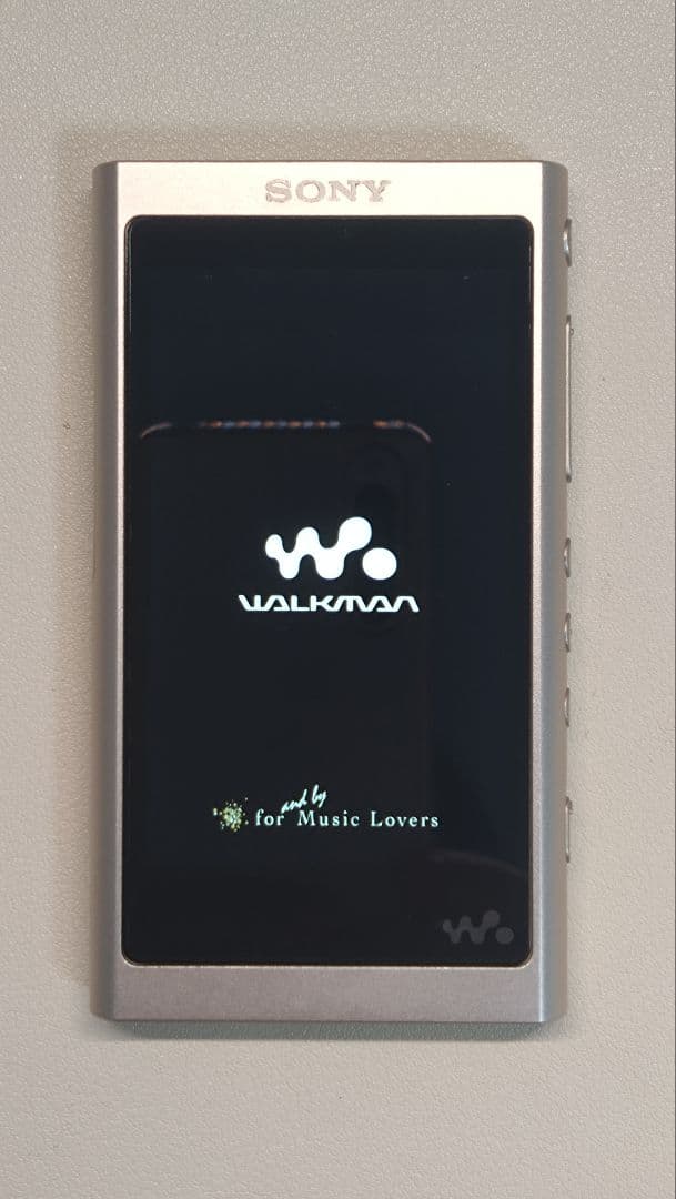 SONY ウォークマン NW-A55 (16GB)