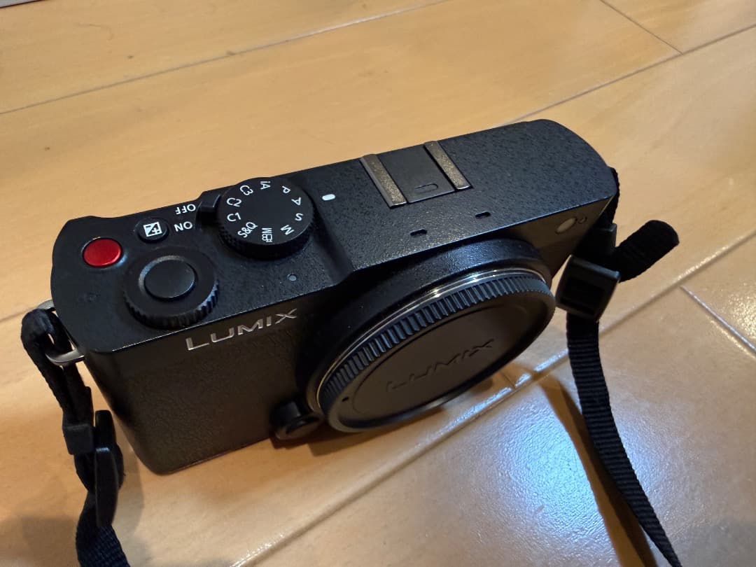 【良美品】LUMIX S9 標準ズームレンズキット 20-60mm｜付属品完備