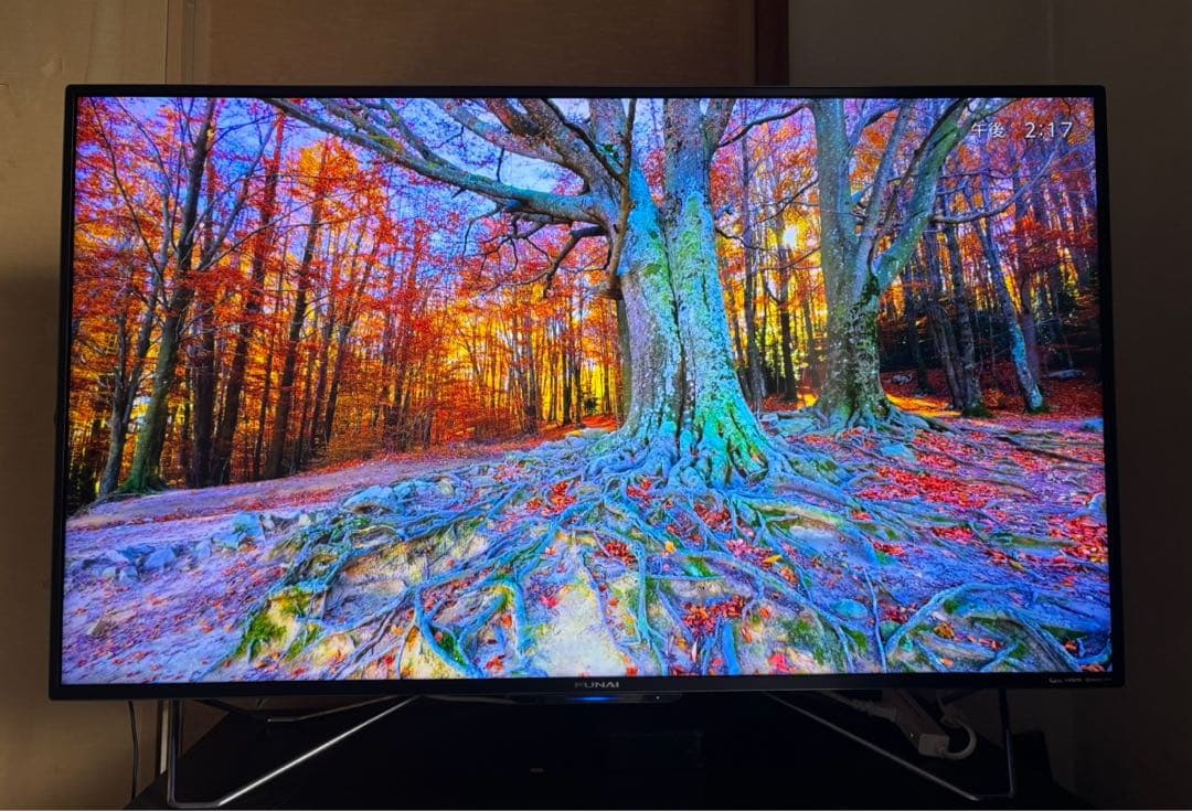 フナイ 49インチ 4K液晶テレビ FL-49U4110