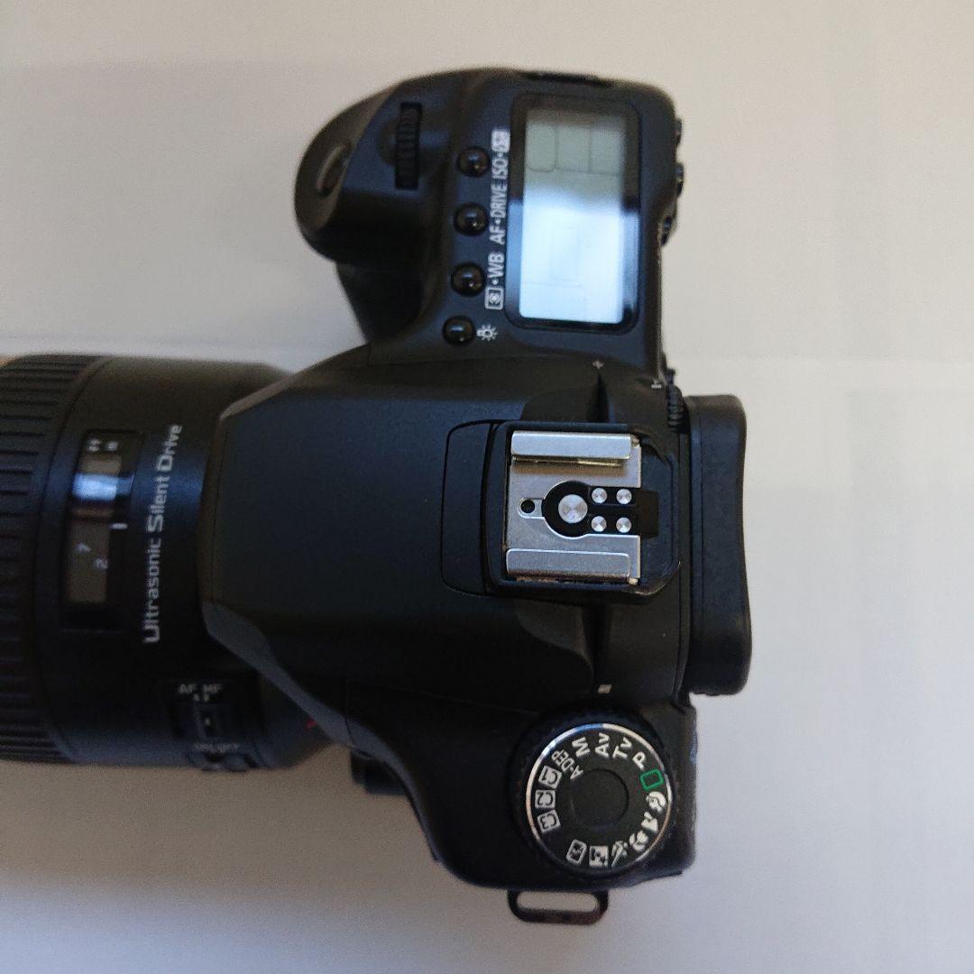 Canon EOS 40D + Tamron 70-300mm(ジャンク)