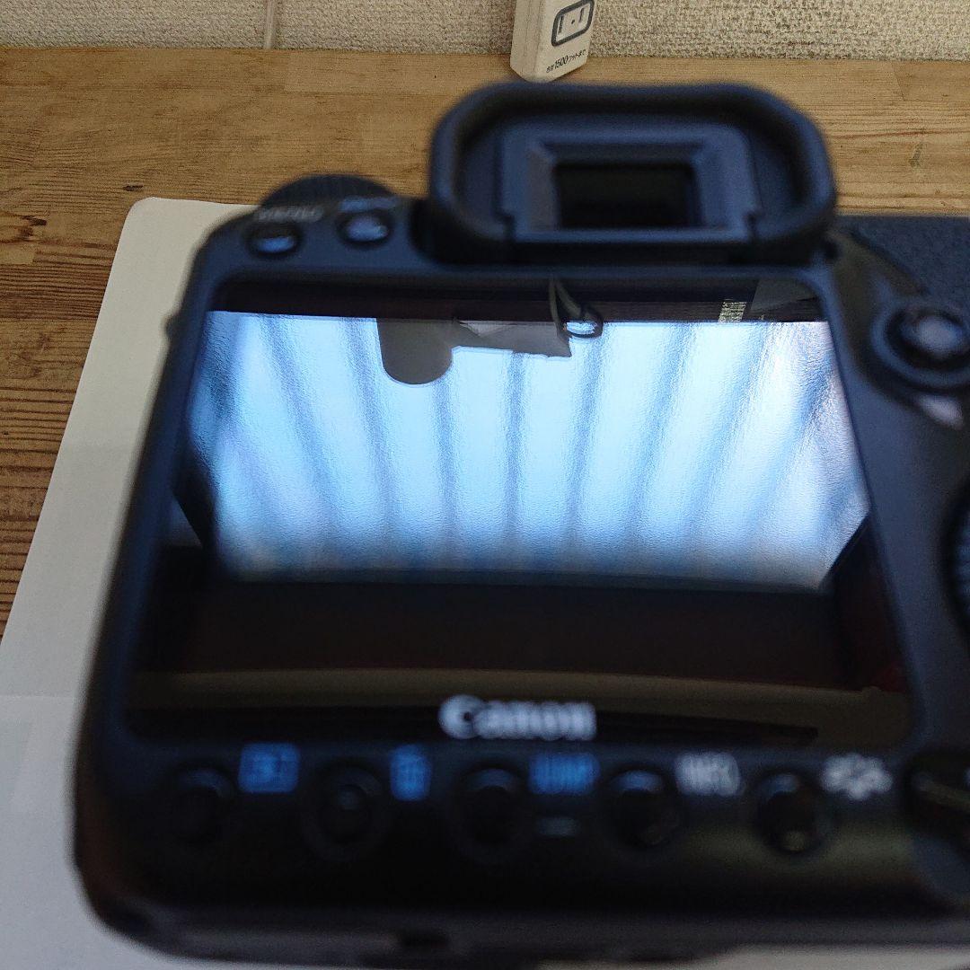 Canon EOS 40D + Tamron 70-300mm(ジャンク)