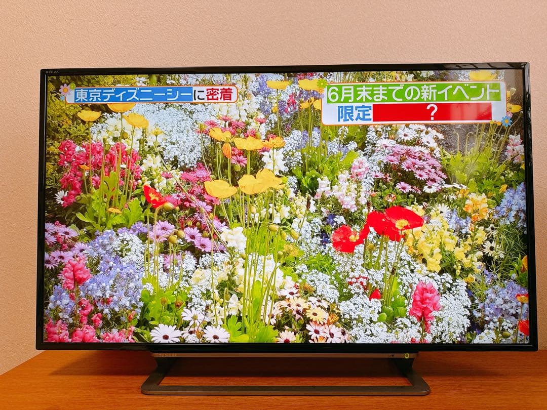 TOSHIBA 東芝 REGZA 43G20X 4K 43型