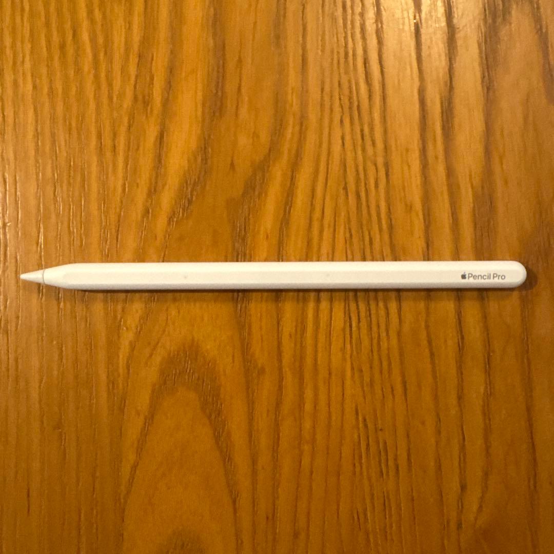 iPad Pro 11インチ M4 1TB スペースグレー 付属品付き