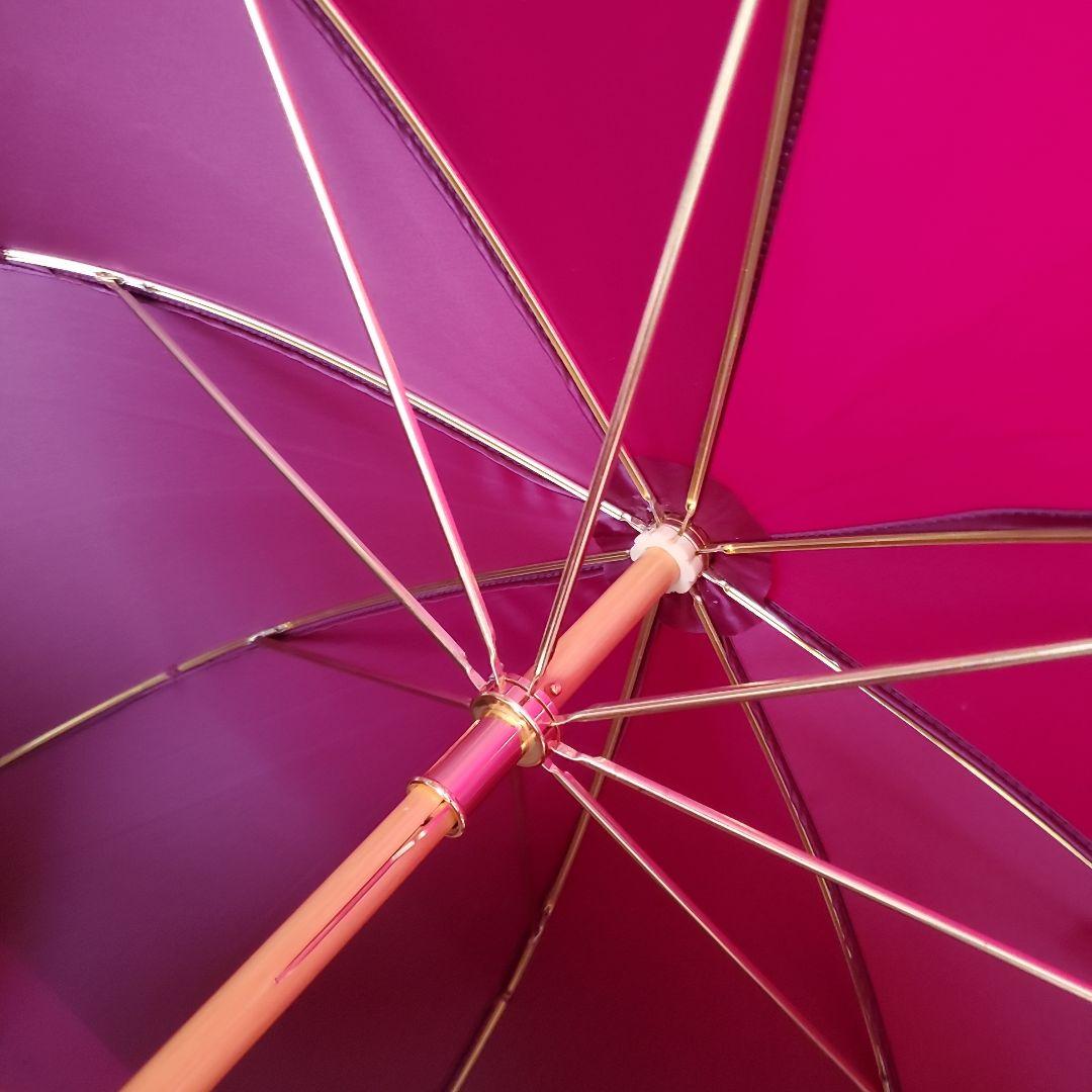 ☆美品☆LOUIS VUITTON雨傘パラプルィイ　アルクアンシエル　アンプレア