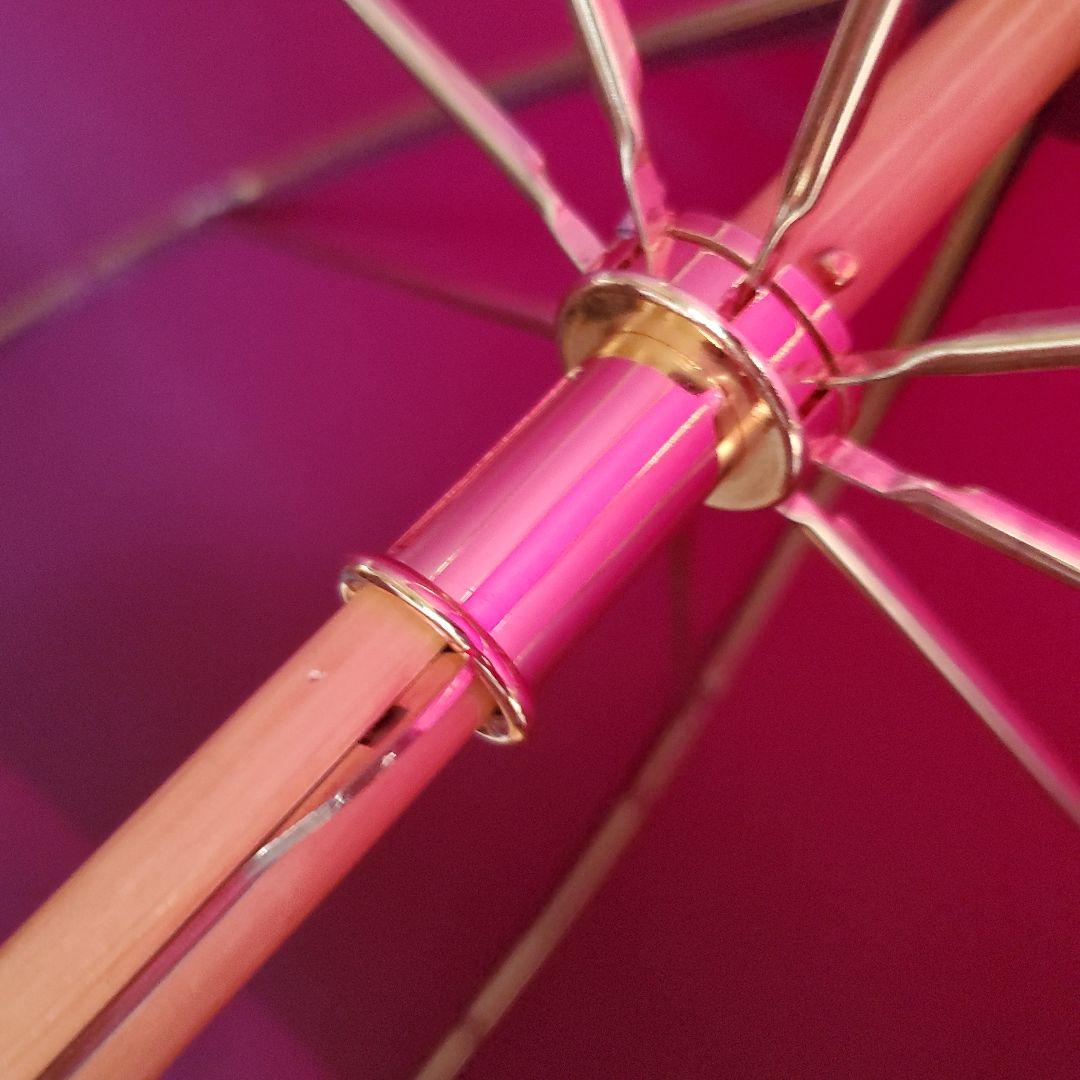 ☆美品☆LOUIS VUITTON雨傘パラプルィイ　アルクアンシエル　アンプレア